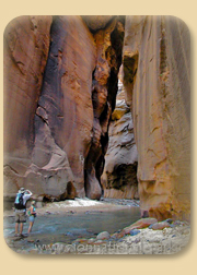 Zion Narrows Trail